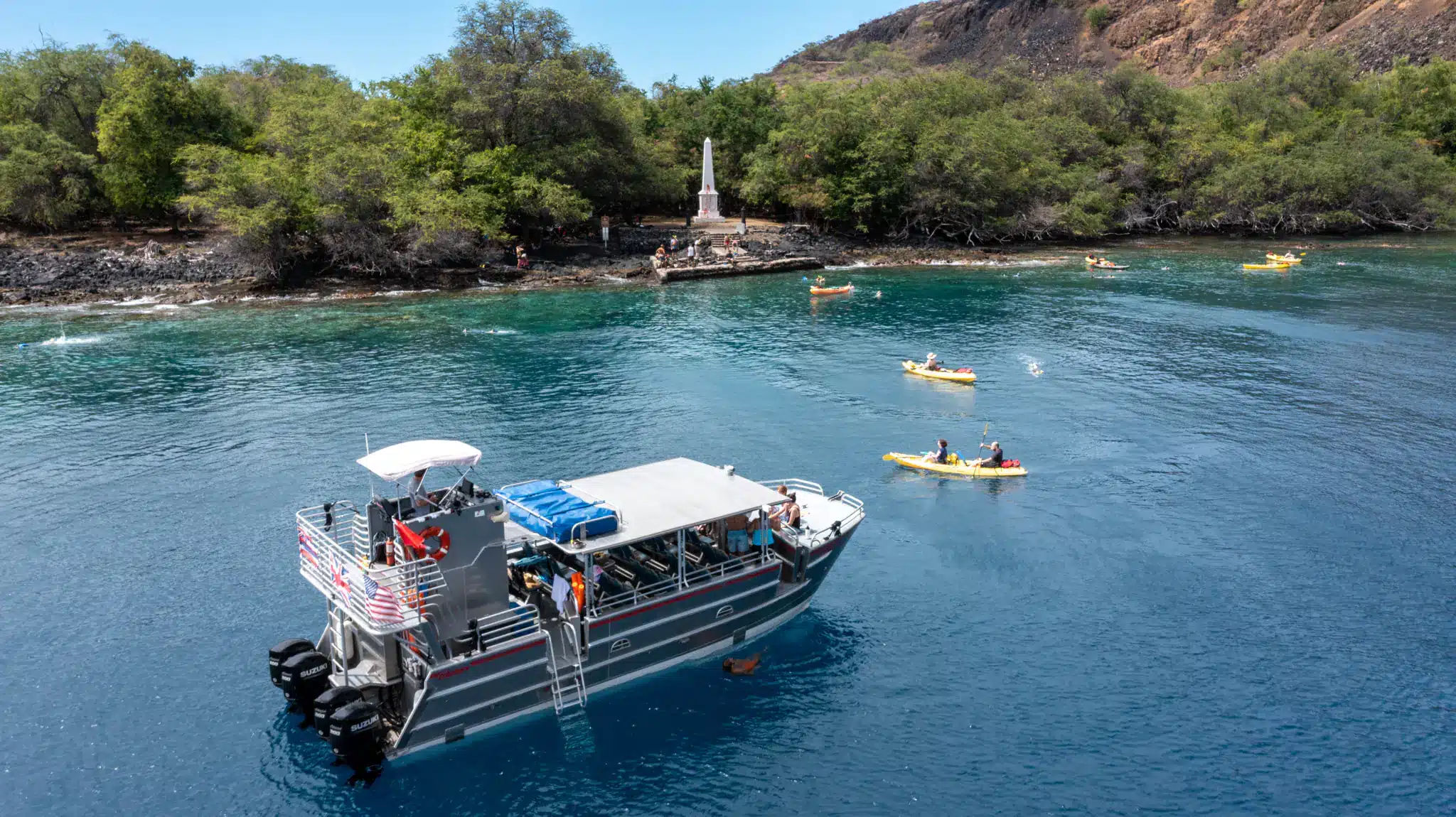 Snorkel & Dolphin Boat Tour on the Big Island