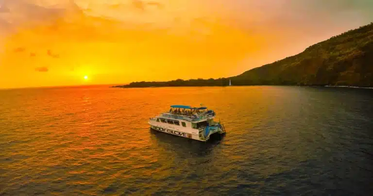 Historical Dinner Cruise is a Boat Activity located in the city of Kailua-Kona on Big Island, Hawaii