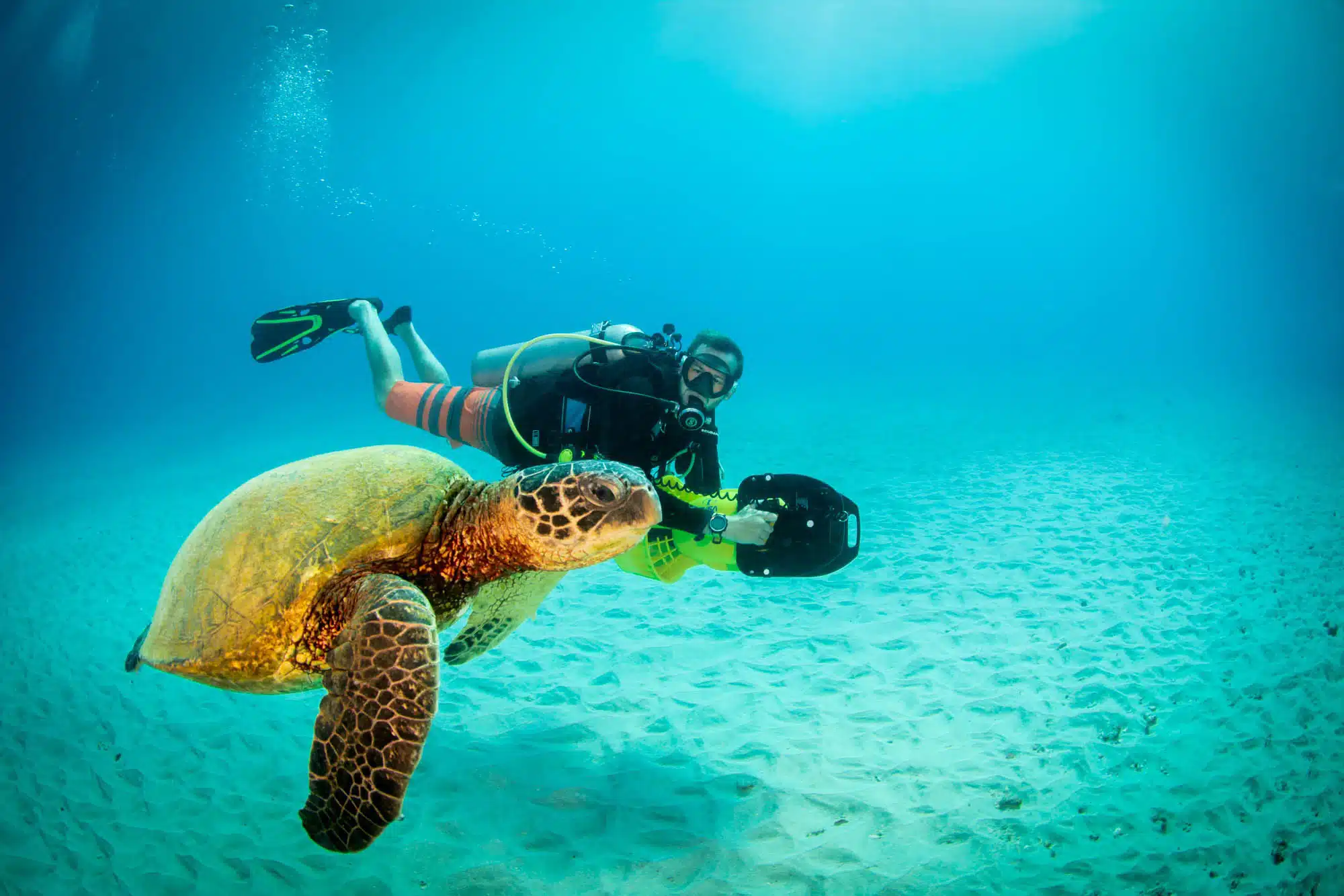 Scooter Adventure Dive is a Water Activity located in the city of Koloa on Kauai, Hawaii