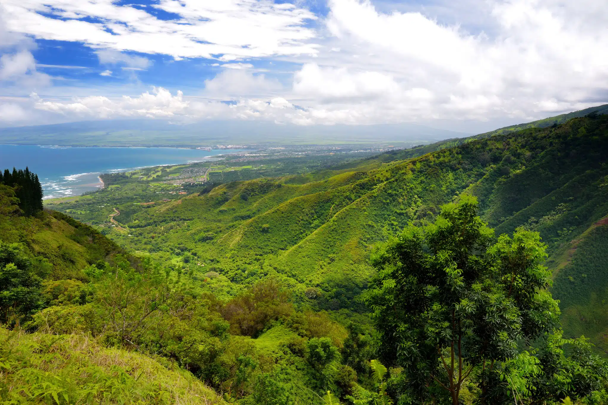 Waihee Ridge Trail is a Hiking Trail located in the city of Wailuku on Maui, Hawaii