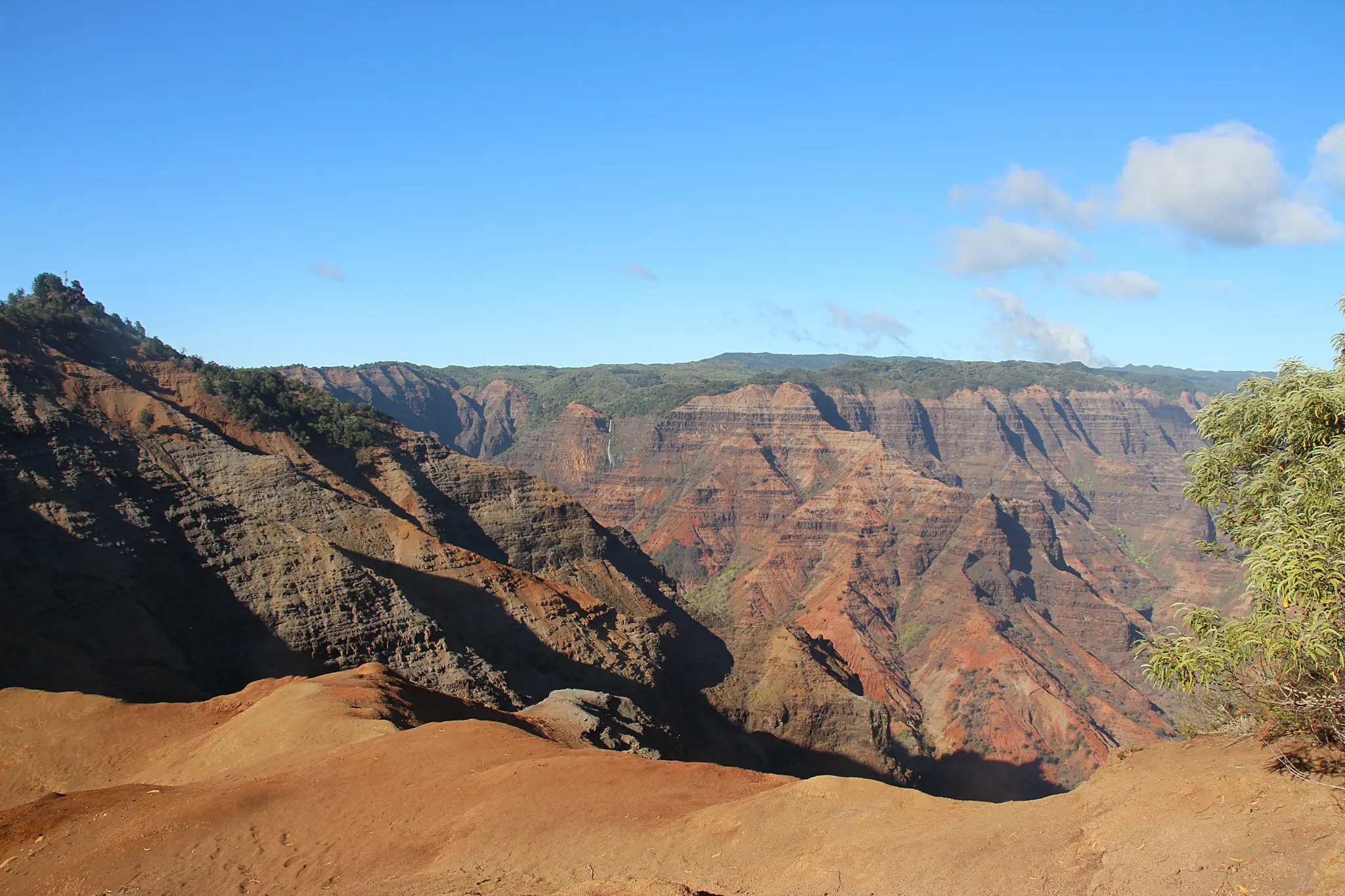 Waimea Canyon State Park   Waimea Canyon State Park Kauai 8.webp