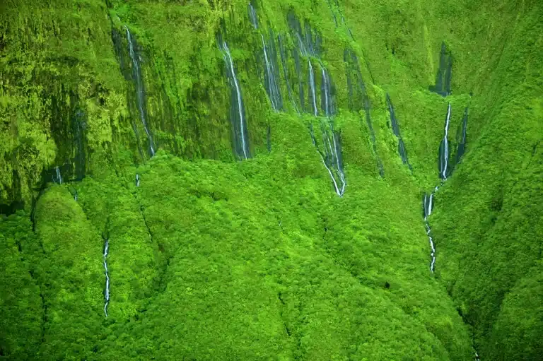 Wall of Tears is a Waterfall located in the city of Hana on Maui, Hawaii