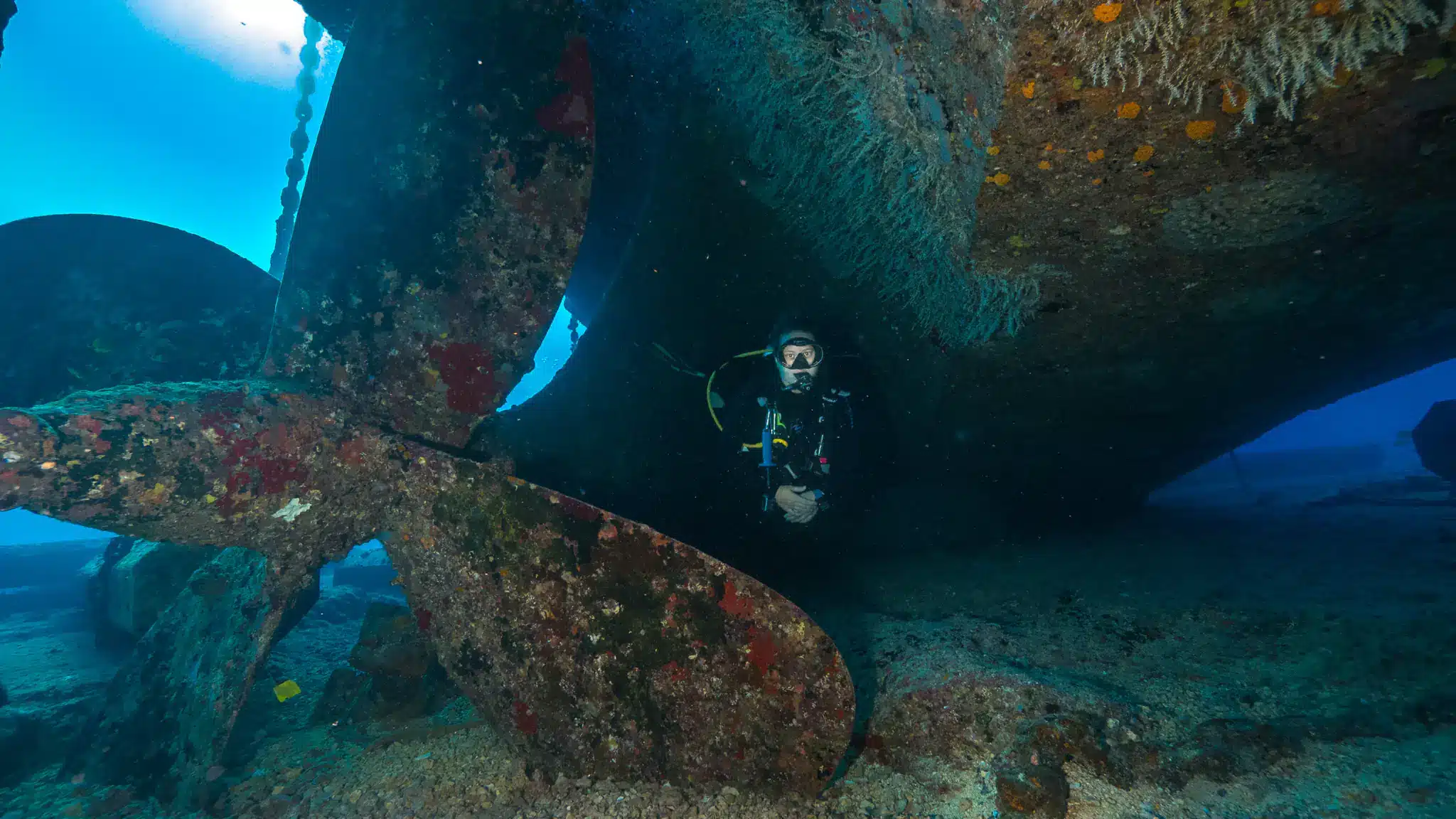 Wreck & Reef Tour in Oahu