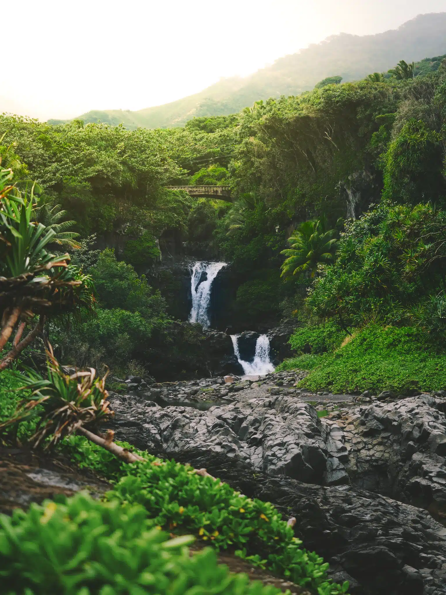 Exploring the Diverse Ecosystems of Hawaii
